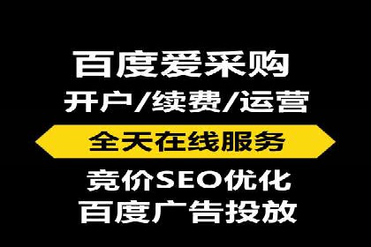 百度搜索推广实战：经典案例深度剖析
